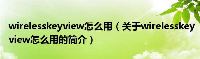 wirelesskeyview怎么用（關(guān)于wirelesskeyview怎么用的簡(jiǎn)介）