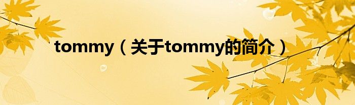 tommy（關(guān)于tommy的簡(jiǎn)介）