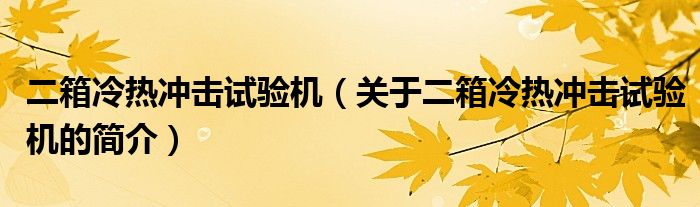 二箱冷熱沖擊試驗(yàn)機(jī)（關(guān)于二箱冷熱沖擊試驗(yàn)機(jī)的簡(jiǎn)介）