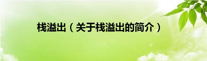 棧溢出（關(guān)于棧溢出的簡(jiǎn)介）