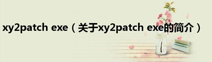 xy2patch exe（關(guān)于xy2patch exe的簡介）