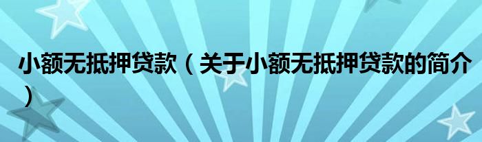 小額無抵押貸款（關(guān)于小額無抵押貸款的簡(jiǎn)介）