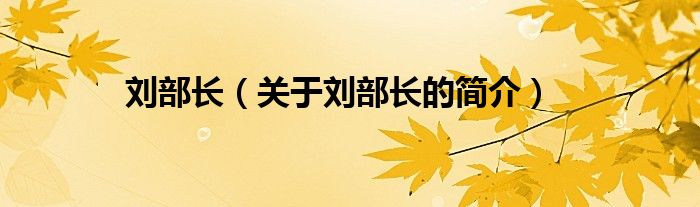 劉部長(zhǎng)（關(guān)于劉部長(zhǎng)的簡(jiǎn)介）