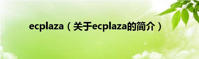 ecplaza（關(guān)于ecplaza的簡(jiǎn)介）