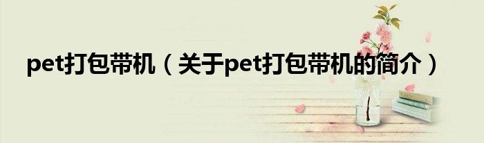 pet打包帶機(jī)（關(guān)于pet打包帶機(jī)的簡(jiǎn)介）