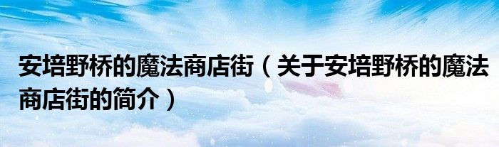 安培野橋的魔法商店街（關(guān)于安培野橋的魔法商店街的簡(jiǎn)介）