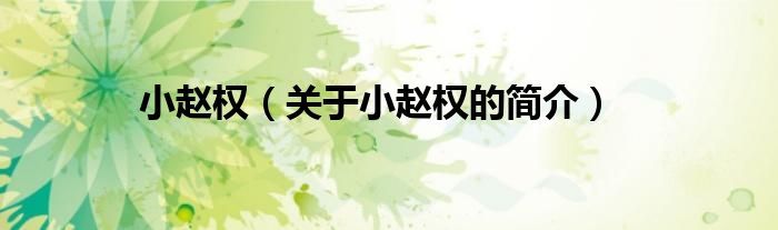 小趙權(quán)（關(guān)于小趙權(quán)的簡(jiǎn)介）