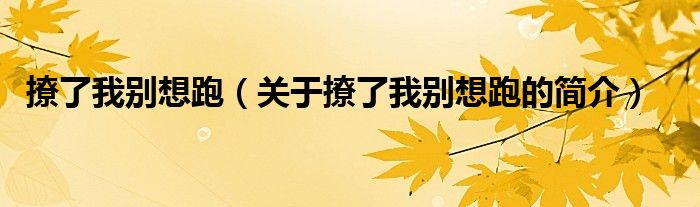 撩了我別想跑（關(guān)于撩了我別想跑的簡介）