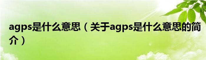 agps是什么意思（關于agps是什么意思的簡介）