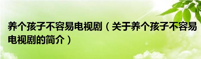 養(yǎng)個孩子不容易電視?。P(guān)于養(yǎng)個孩子不容易電視劇的簡介）