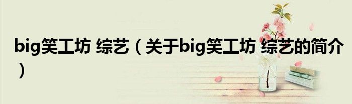 big笑工坊 綜藝（關(guān)于big笑工坊 綜藝的簡(jiǎn)介）