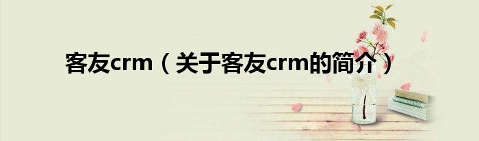 客友crm（關(guān)于客友crm的簡介）