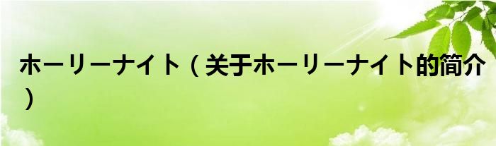 ホーリーナイト（關(guān)于ホーリーナイト的簡(jiǎn)介）