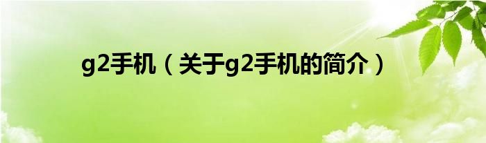 g2手機（關于g2手機的簡介）