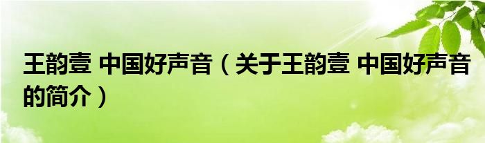 王韻壹 中國好聲音（關于王韻壹 中國好聲音的簡介）