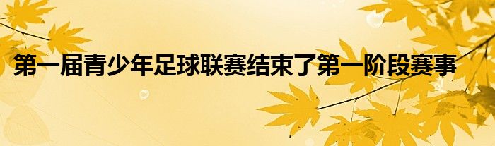 第一屆青少年足球聯賽結束了第一階段賽事