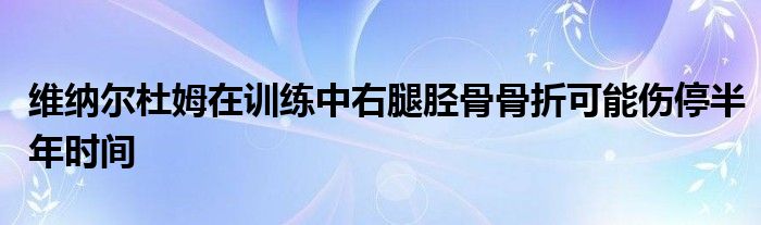 維納爾杜姆在訓(xùn)練中右腿脛骨骨折可能傷停半年時(shí)間