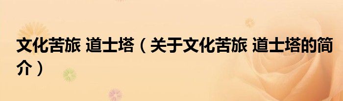 文化苦旅 道士塔（關(guān)于文化苦旅 道士塔的簡(jiǎn)介）