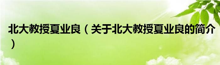 北大教授夏業(yè)良（關于北大教授夏業(yè)良的簡介）