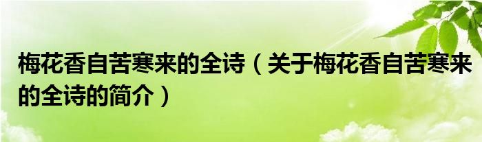 梅花香自苦寒來的全詩（關(guān)于梅花香自苦寒來的全詩的簡介）