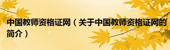 中國(guó)教師資格證網(wǎng)（關(guān)于中國(guó)教師資格證網(wǎng)的簡(jiǎn)介）