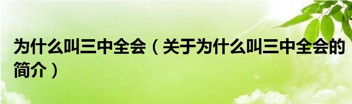 為什么叫三中全會（關于為什么叫三中全會的簡介）