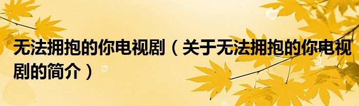 無法擁抱的你電視?。P于無法擁抱的你電視劇的簡介）