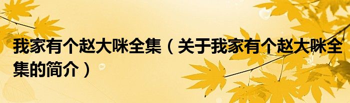 我家有個趙大咪全集（關(guān)于我家有個趙大咪全集的簡介）