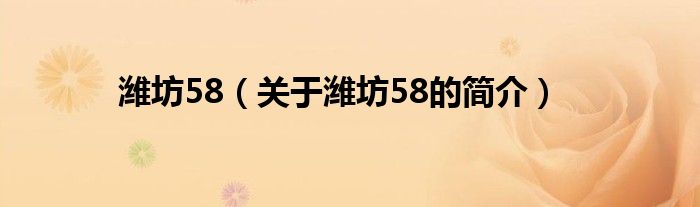 濰坊58（關(guān)于濰坊58的簡介）