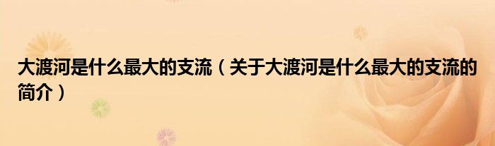 大渡河是什么最大的支流（關(guān)于大渡河是什么最大的支流的簡(jiǎn)介）