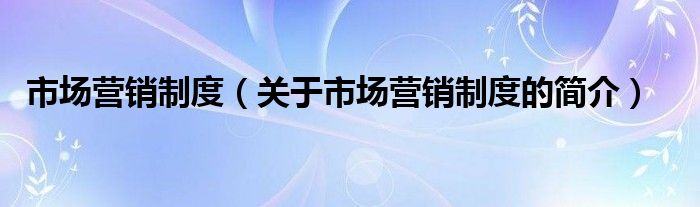 市場營銷制度（關(guān)于市場營銷制度的簡介）