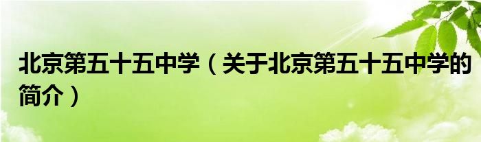 北京第五十五中學(xué)（關(guān)于北京第五十五中學(xué)的簡介）