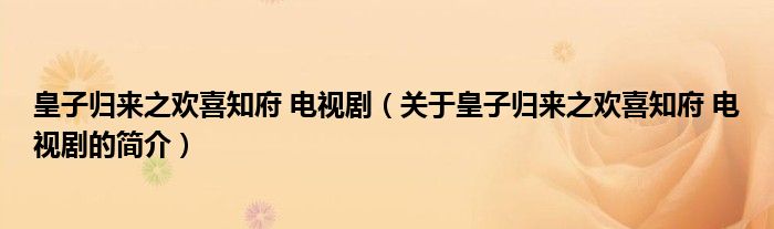 皇子歸來之歡喜知府 電視?。P(guān)于皇子歸來之歡喜知府 電視劇的簡介）