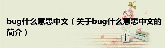 bug什么意思中文（關(guān)于bug什么意思中文的簡(jiǎn)介）