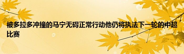 被多拉多沖撞的馬寧無礙正常行動(dòng)他仍將執(zhí)法下一輪的中超比賽