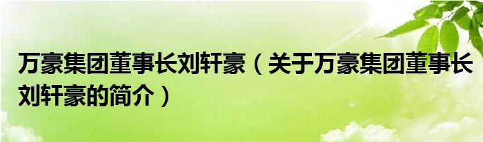 萬豪集團董事長劉軒豪（關(guān)于萬豪集團董事長劉軒豪的簡介）