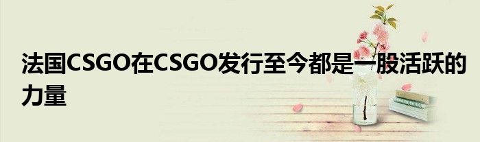 法國(guó)CSGO在CSGO發(fā)行至今都是一股活躍的力量