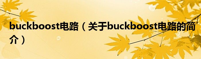 buckboost電路（關于buckboost電路的簡介）