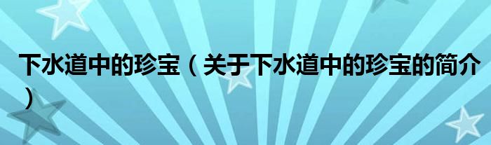 下水道中的珍寶（關(guān)于下水道中的珍寶的簡(jiǎn)介）