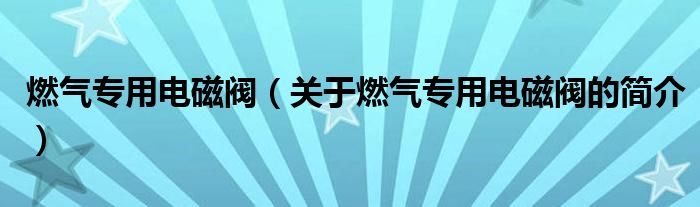 燃?xì)鈱Ｓ秒姶砰y（關(guān)于燃?xì)鈱Ｓ秒姶砰y的簡介）