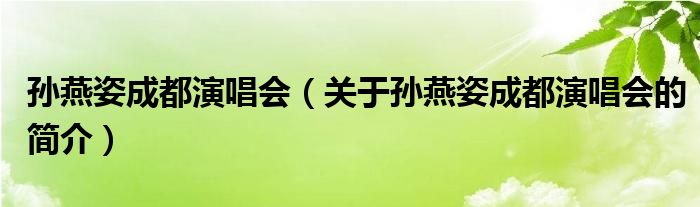 孫燕姿成都演唱會(huì)（關(guān)于孫燕姿成都演唱會(huì)的簡(jiǎn)介）