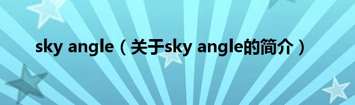 sky angle（關(guān)于sky angle的簡介）