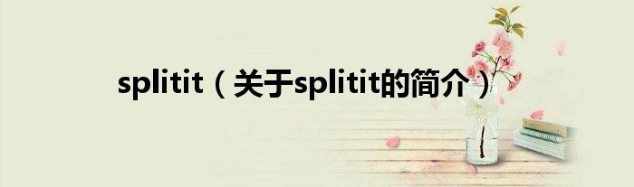 splitit（關于splitit的簡介）