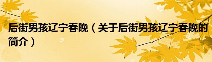 后街男孩遼寧春晚（關于后街男孩遼寧春晚的簡介）