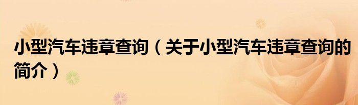 小型汽車(chē)違章查詢（關(guān)于小型汽車(chē)違章查詢的簡(jiǎn)介）