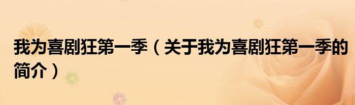 我為喜劇狂第一季（關(guān)于我為喜劇狂第一季的簡(jiǎn)介）