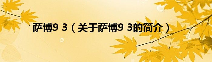 薩博9 3（關(guān)于薩博9 3的簡介）