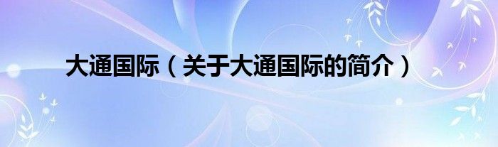 大通國(guó)際（關(guān)于大通國(guó)際的簡(jiǎn)介）