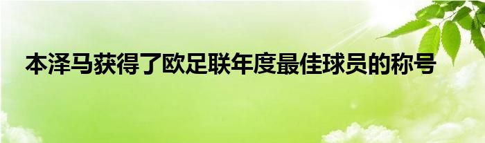 本澤馬獲得了歐足聯年度最佳球員的稱號