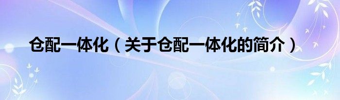 倉配一體化（關(guān)于倉配一體化的簡介）